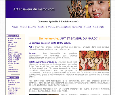 Aper&ccedil;u du site